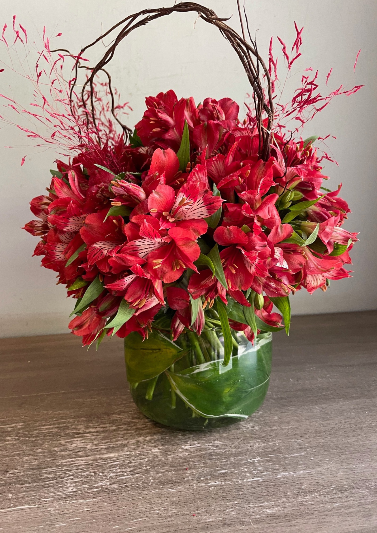 Inca Lily