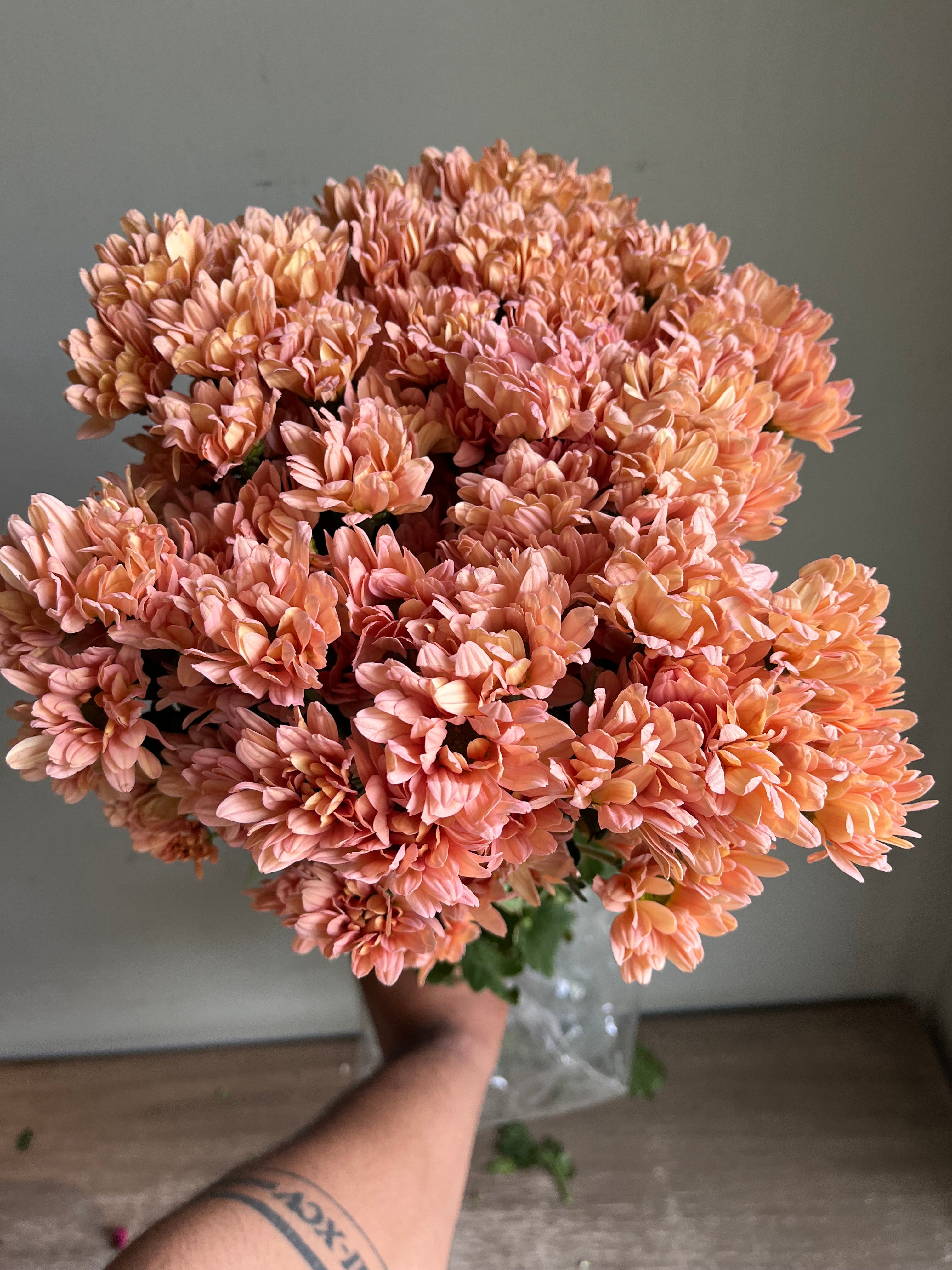 Chrysanthemum