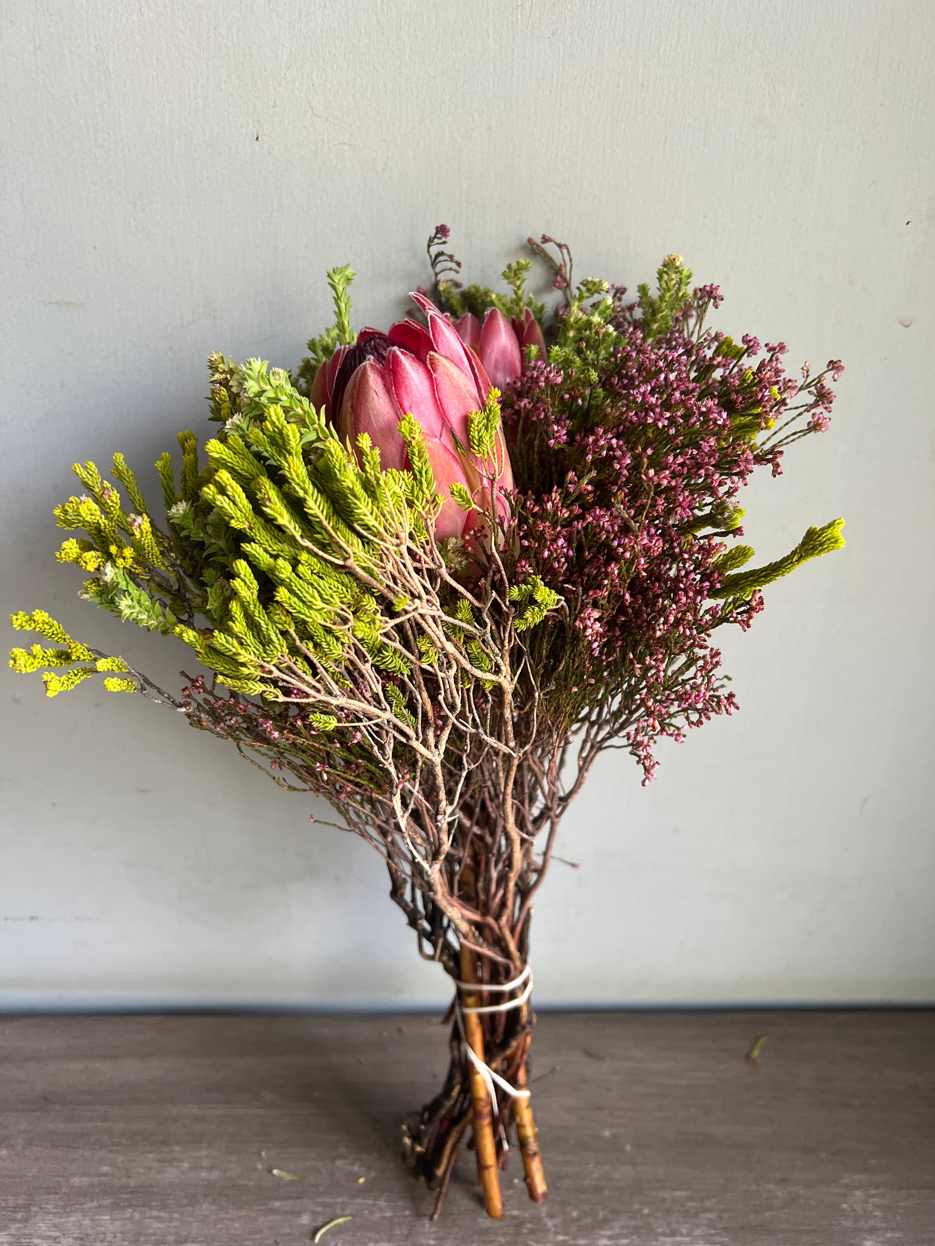 Protea Capemix