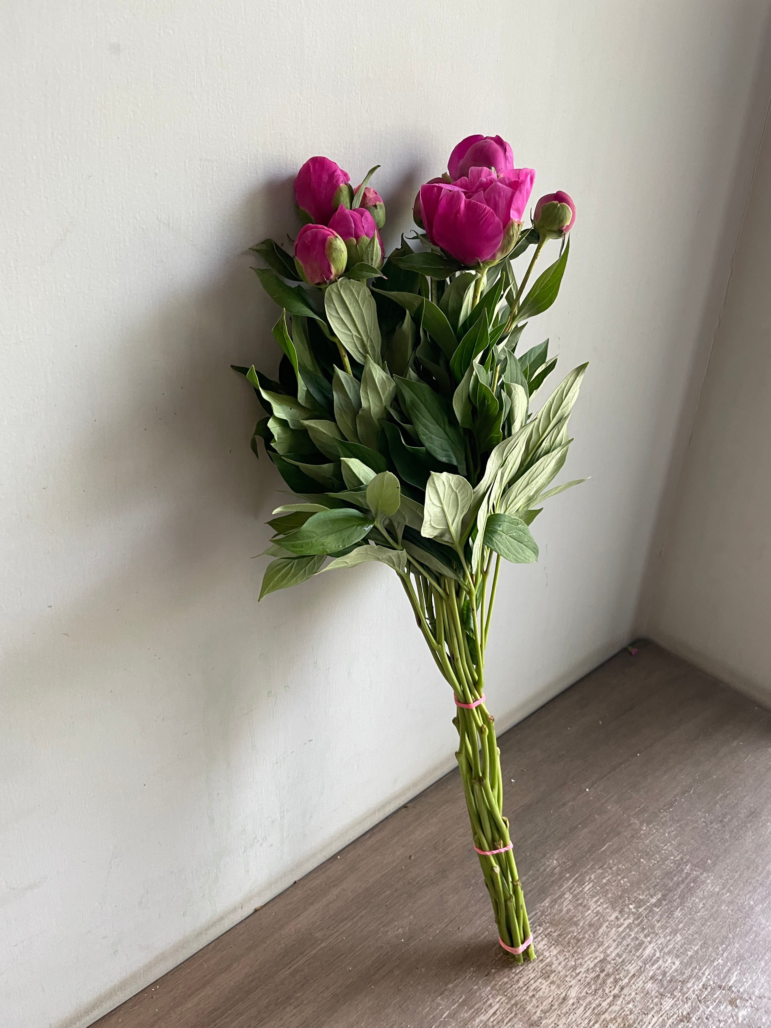 Peony