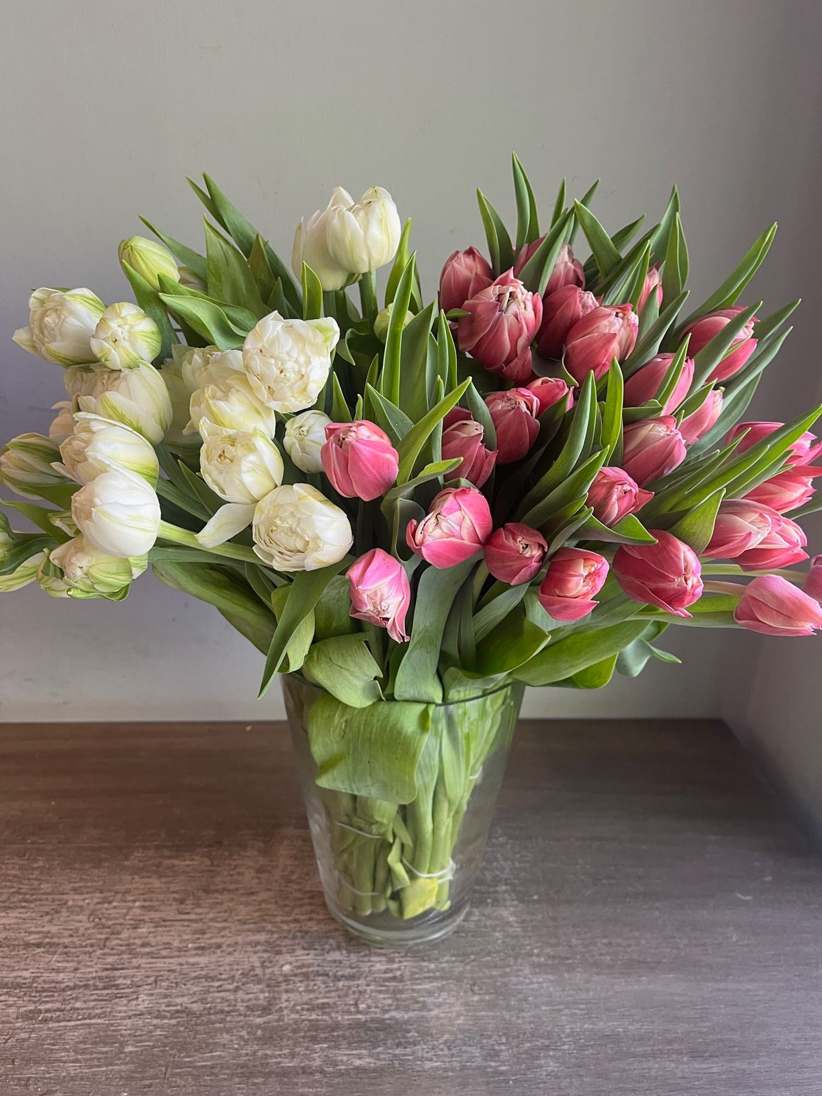 Tulips