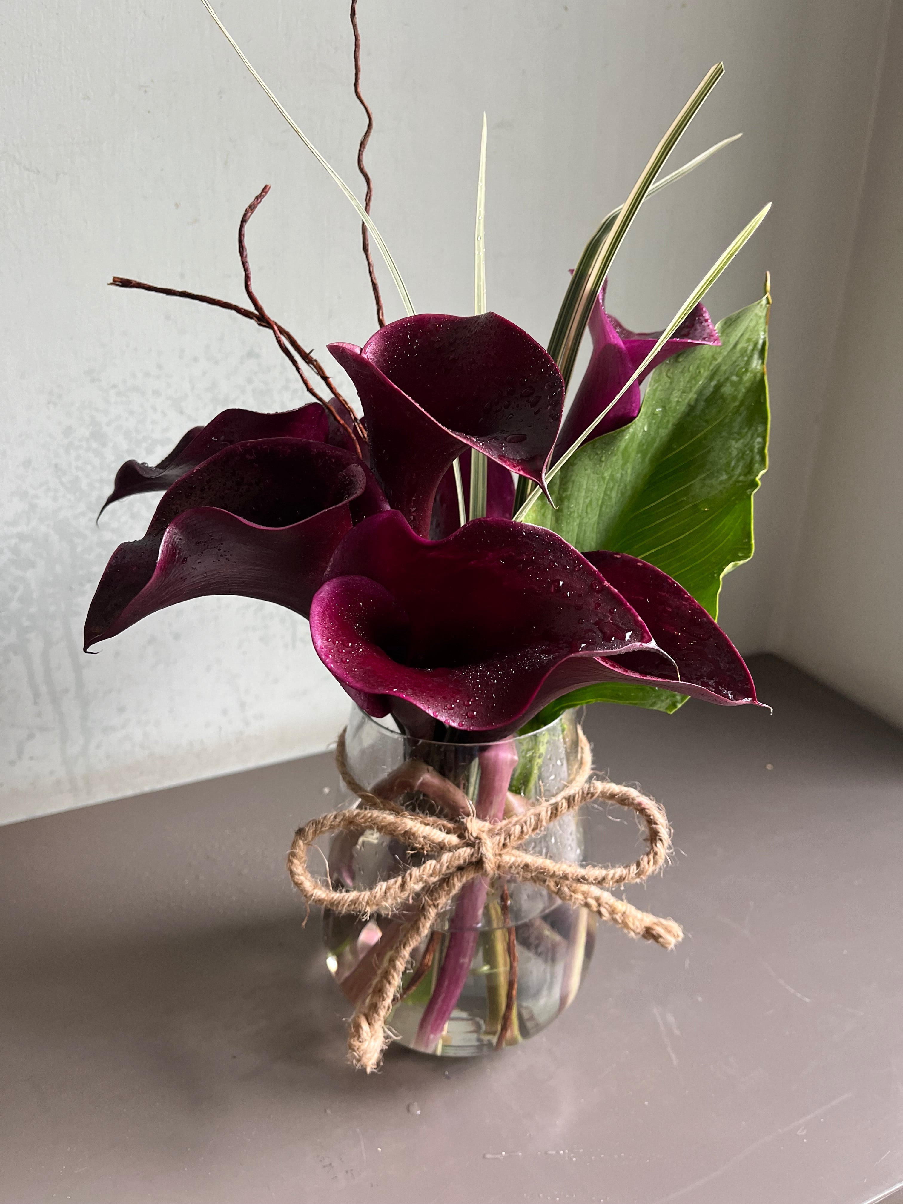 Calla Baby