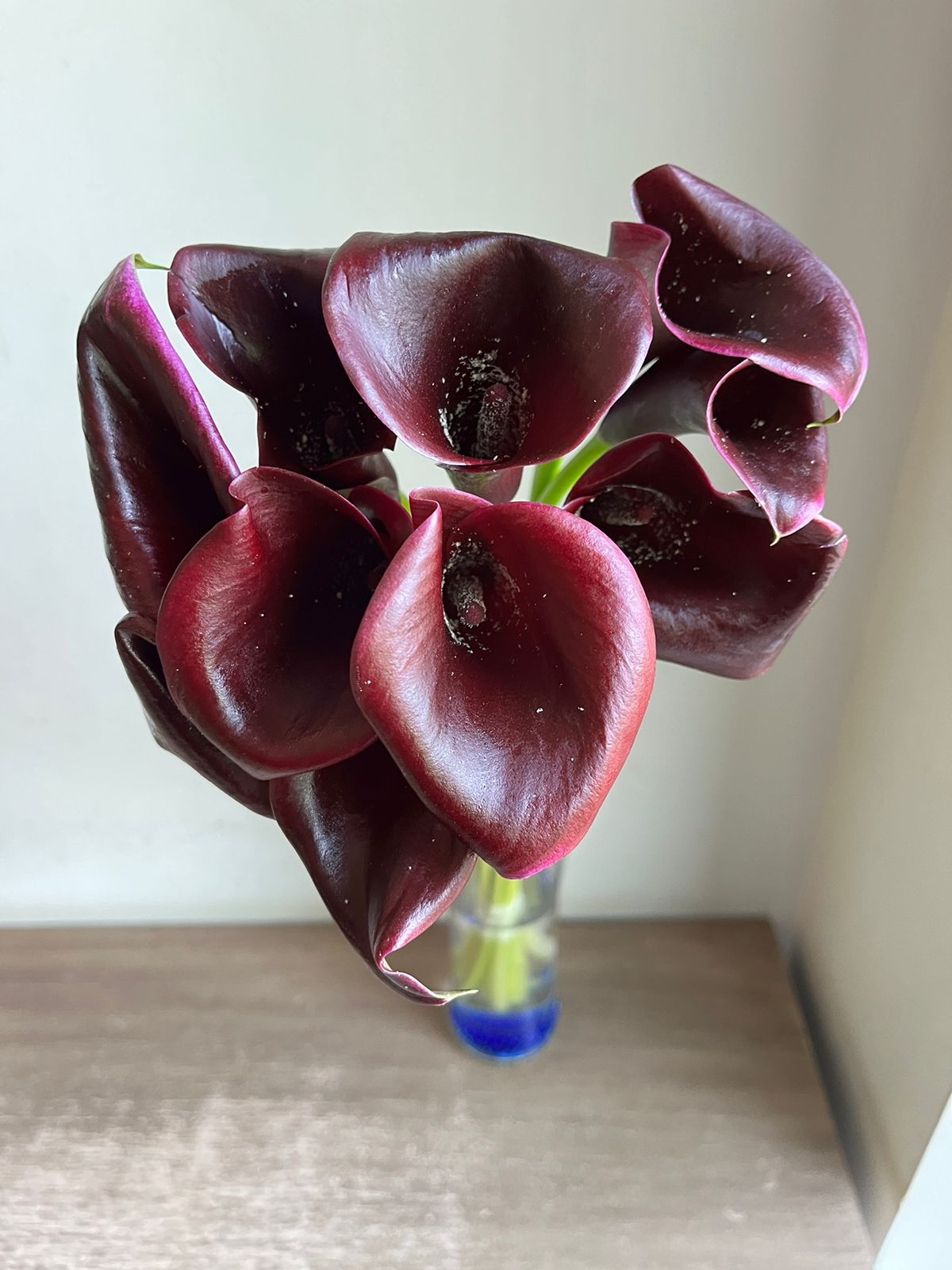 Calla Lily