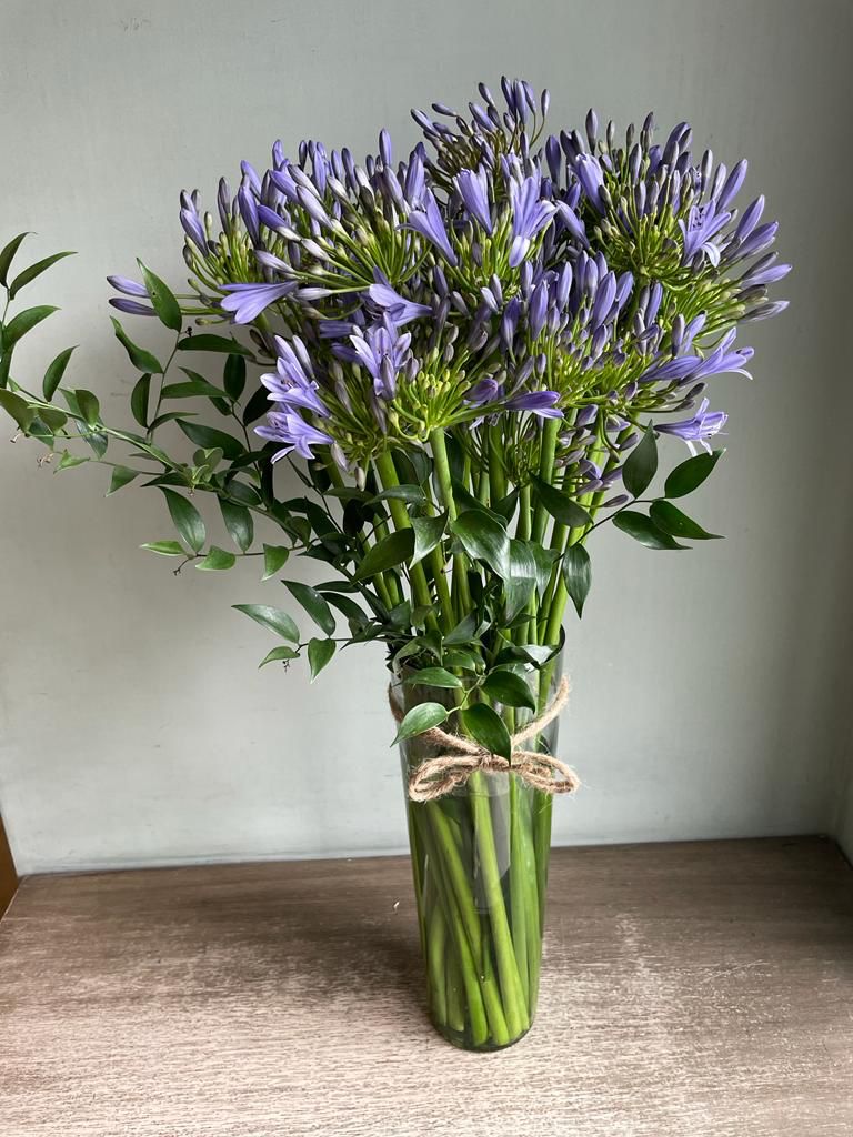 Purple Heights