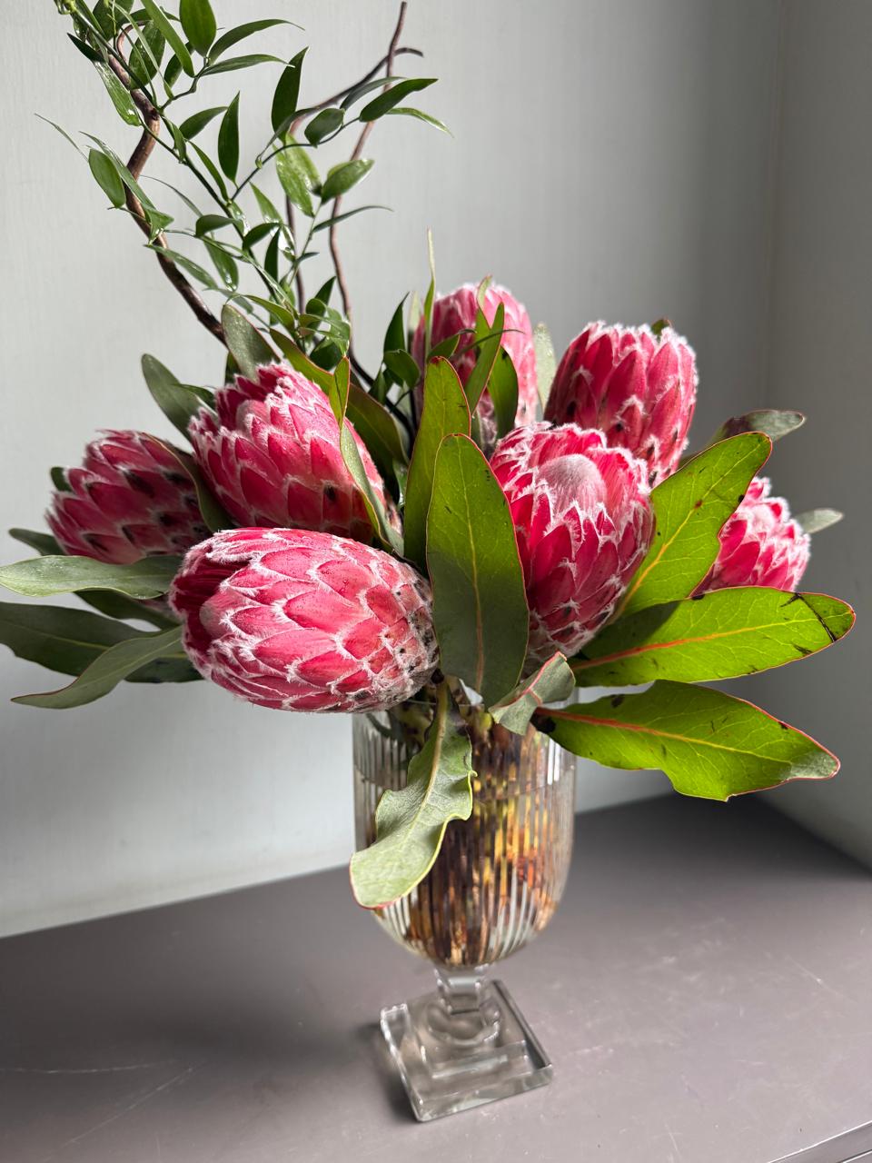 Prosperous Protea