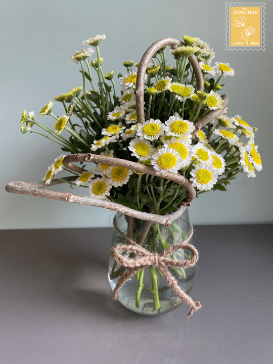 Li’l Rays Of Sunshine