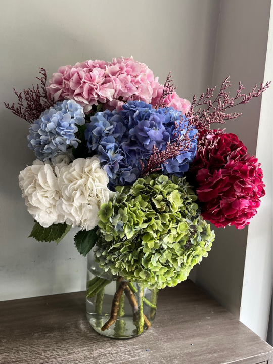 Hydrangea