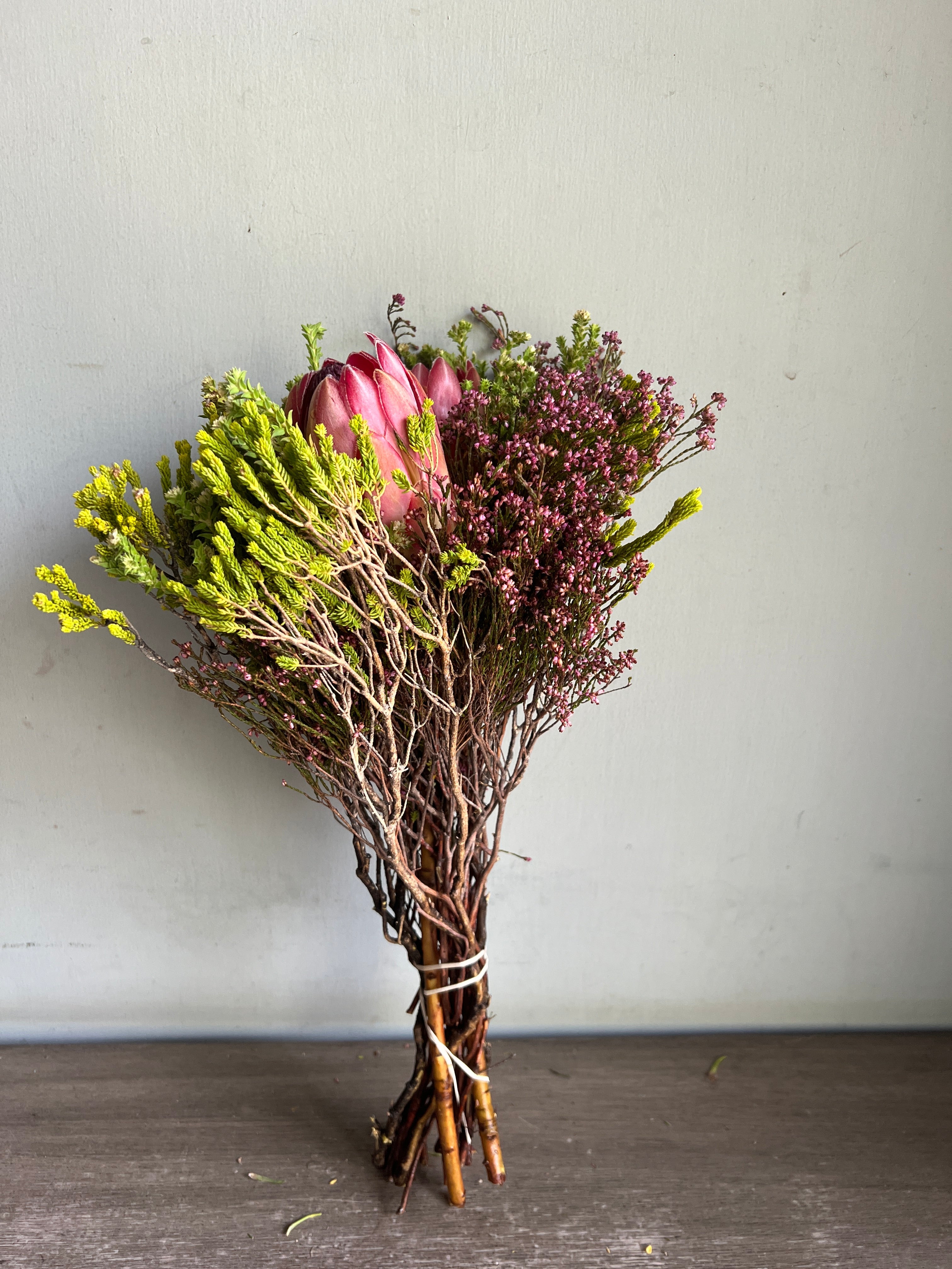 Protea Capemix