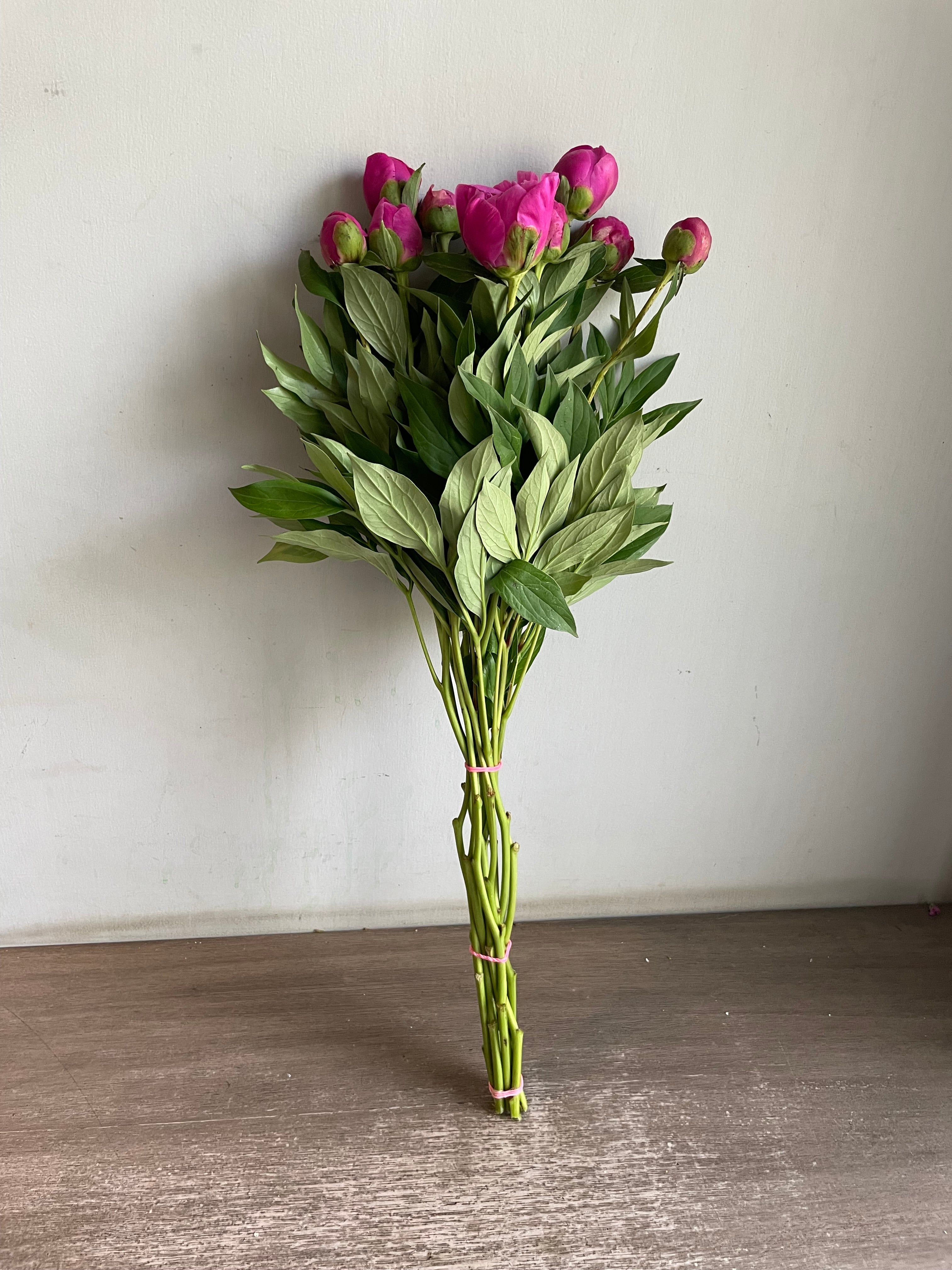 Peony