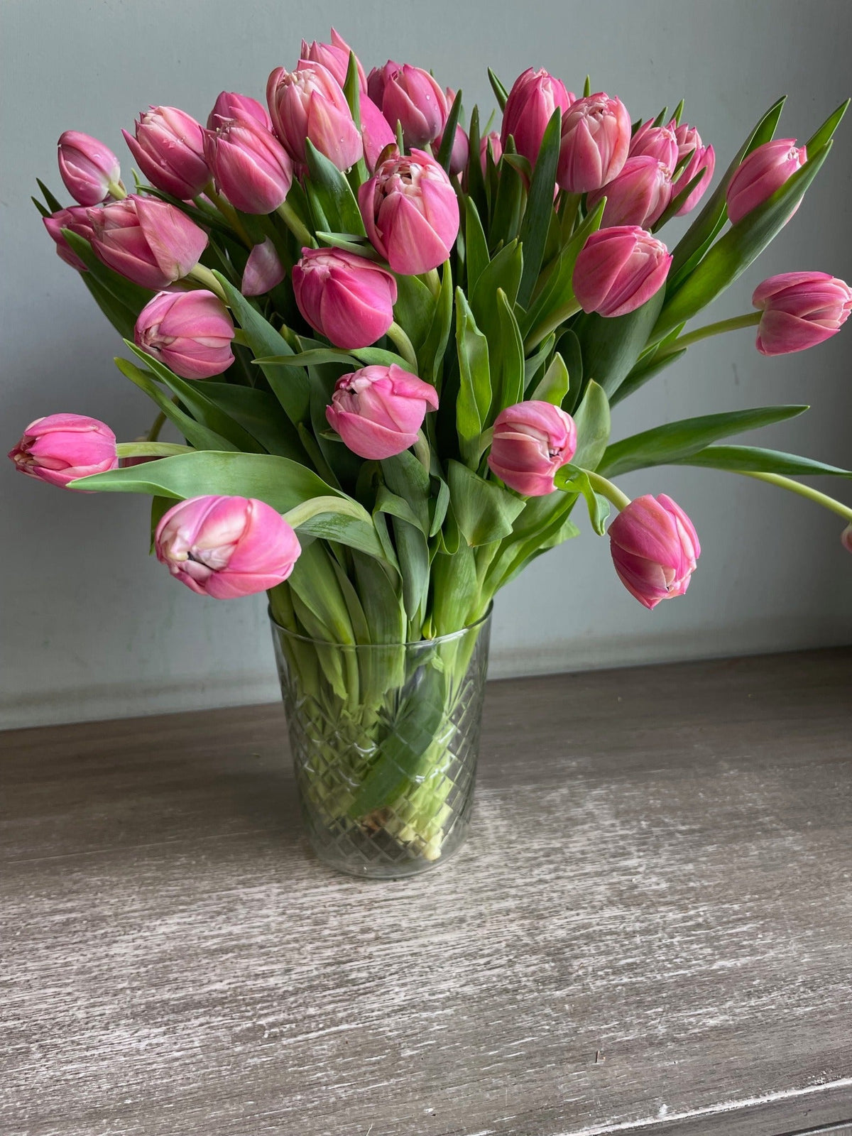 Tulips