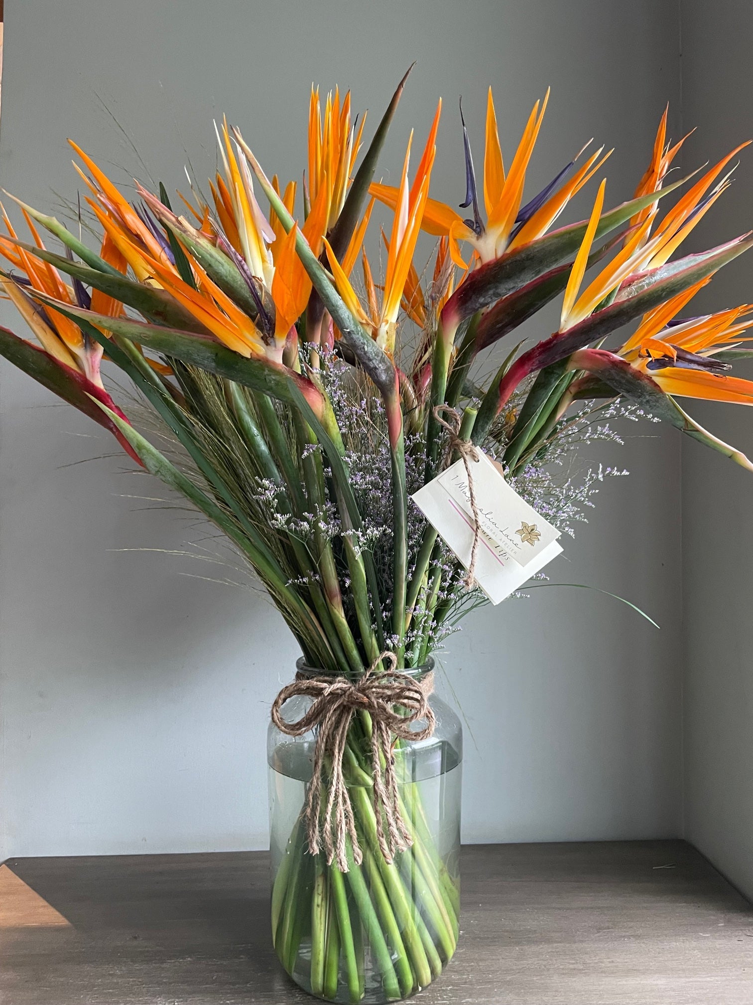 Bird of Paradise