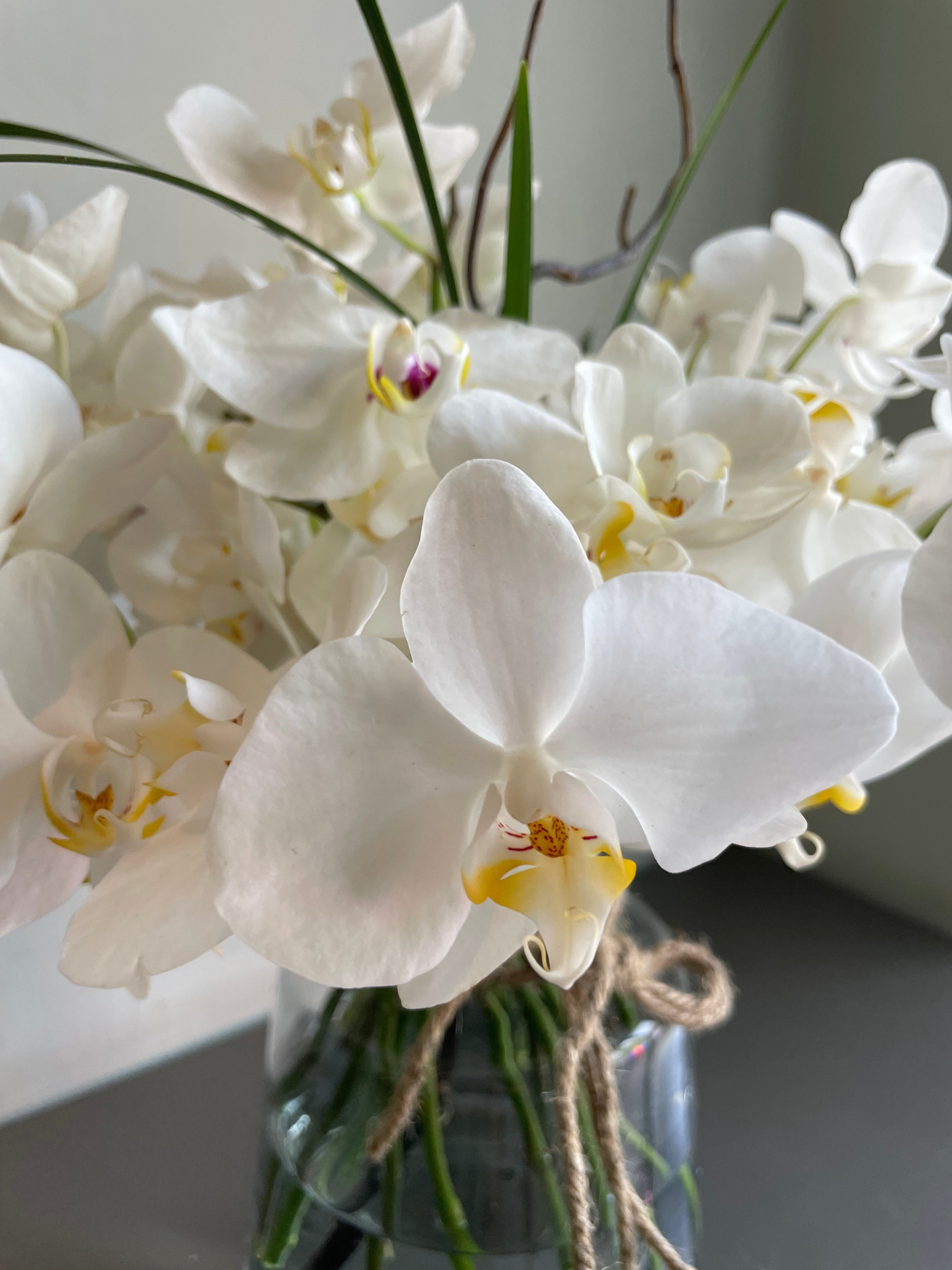A Gentleman’s Flower