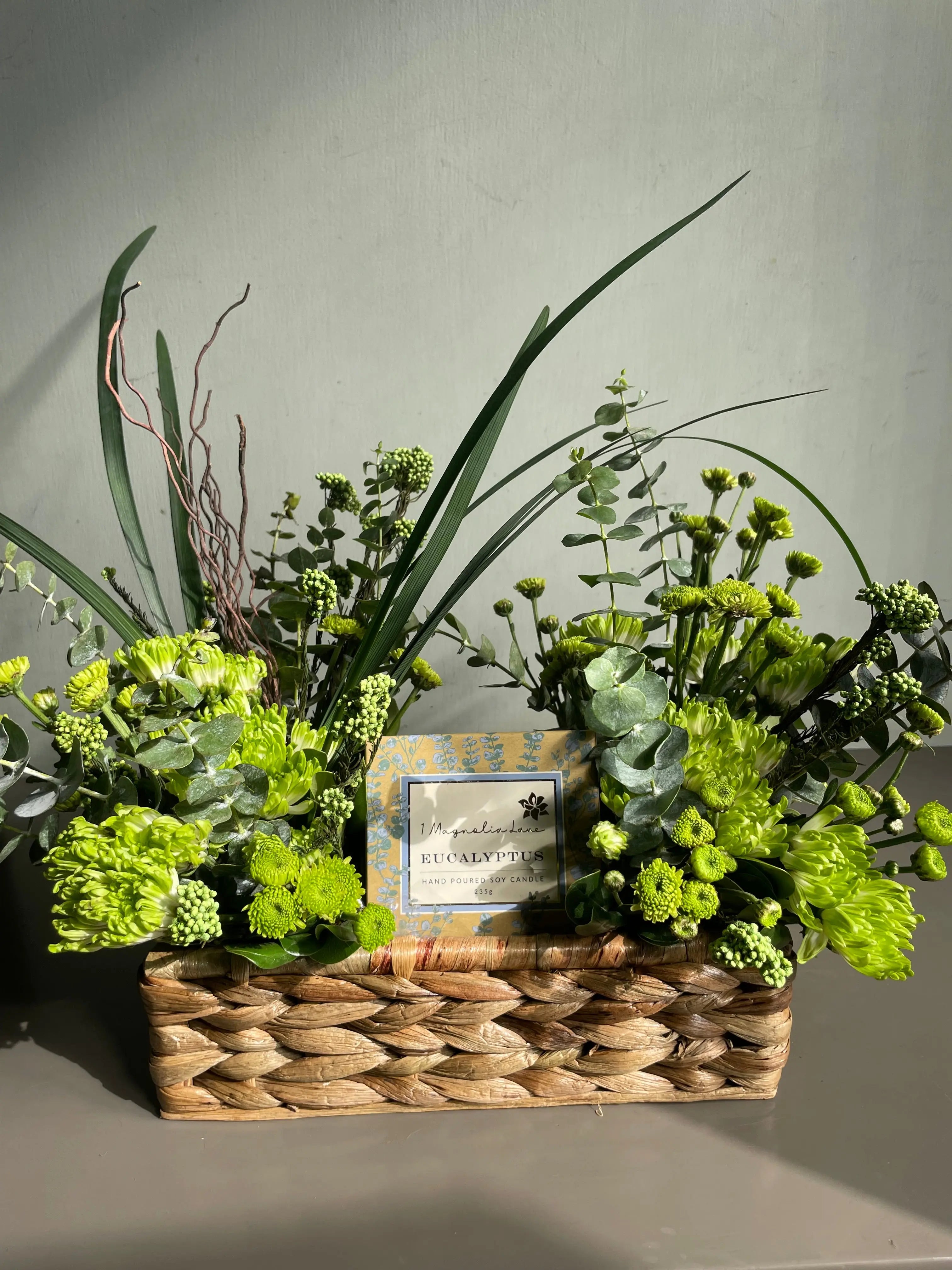 Eucalyptian Wonder 1magnolialane