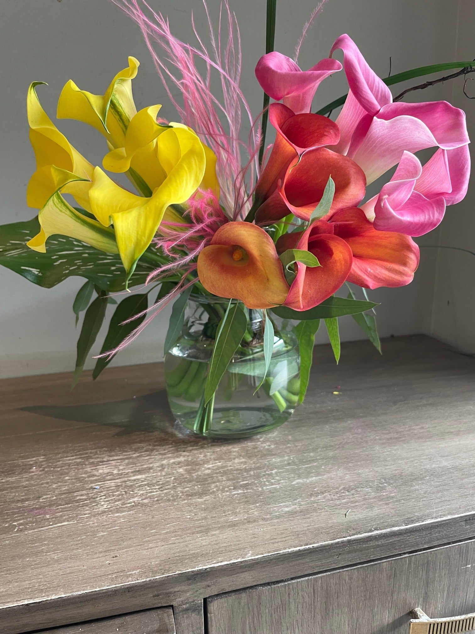 Calla Pops