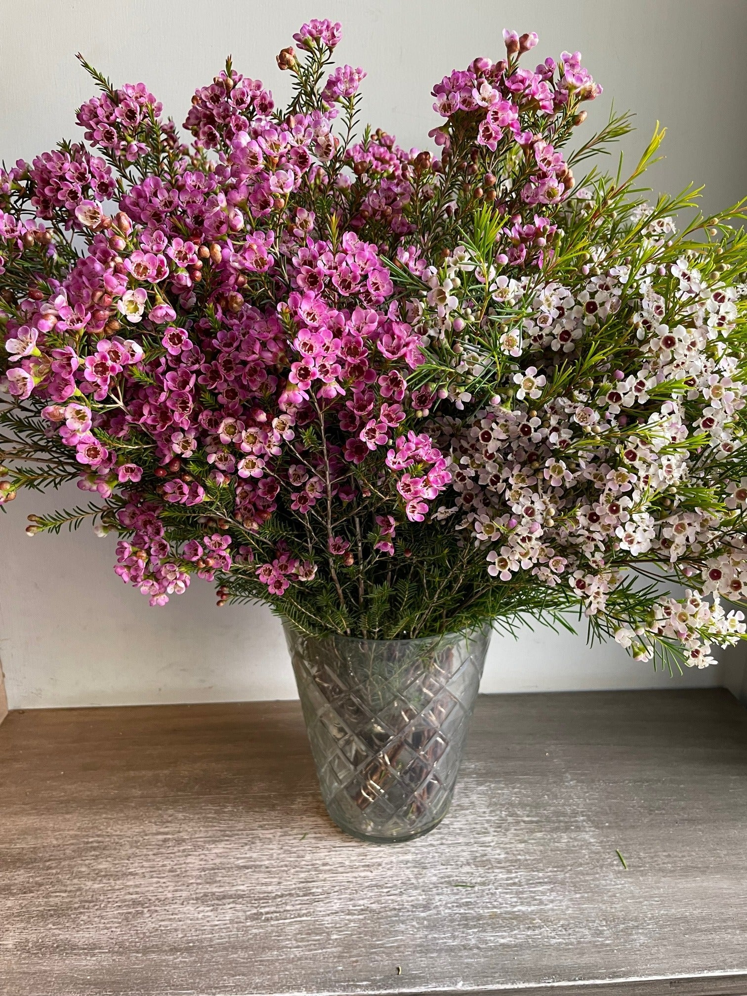 Wax Flowers