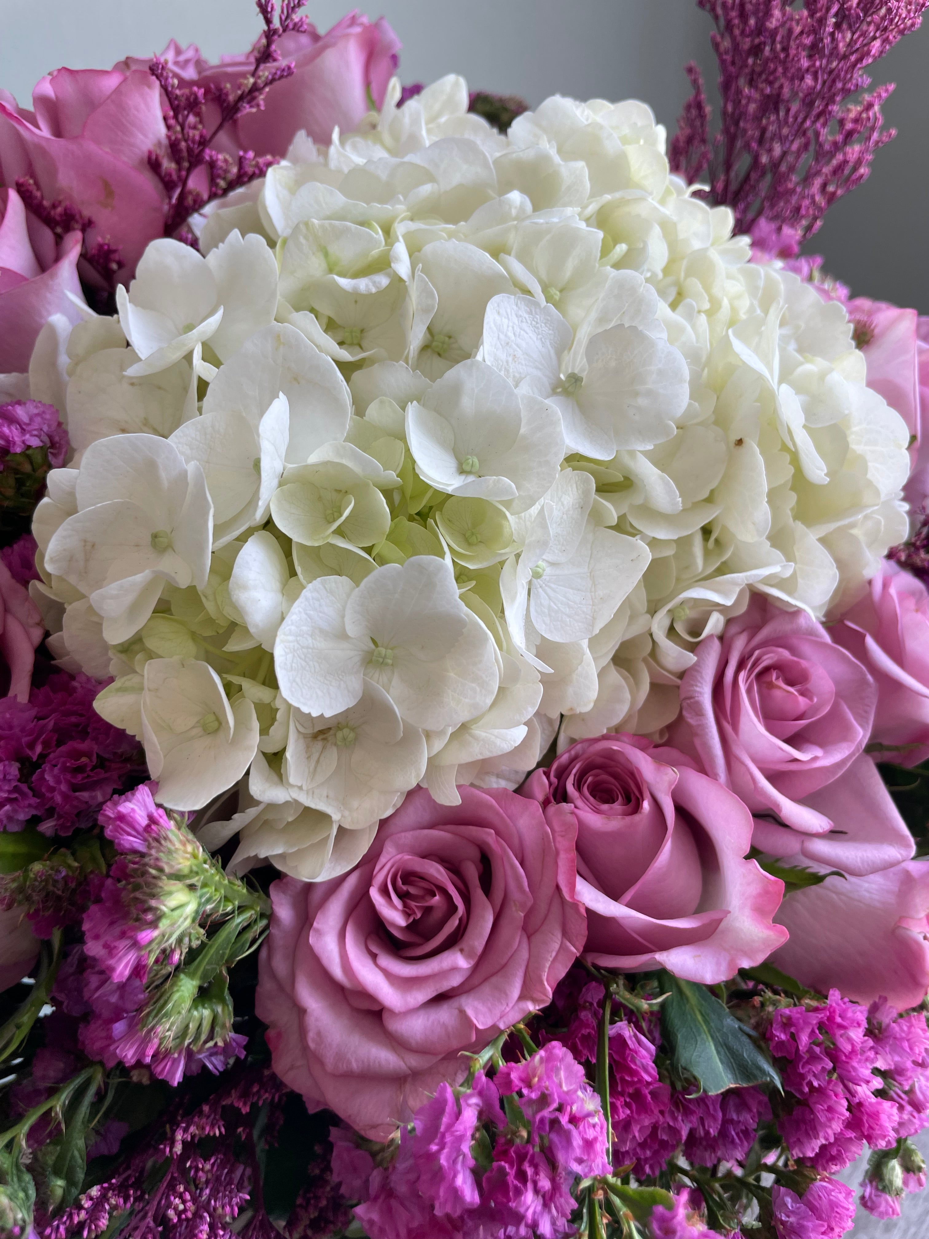 Tea Rose Pink
