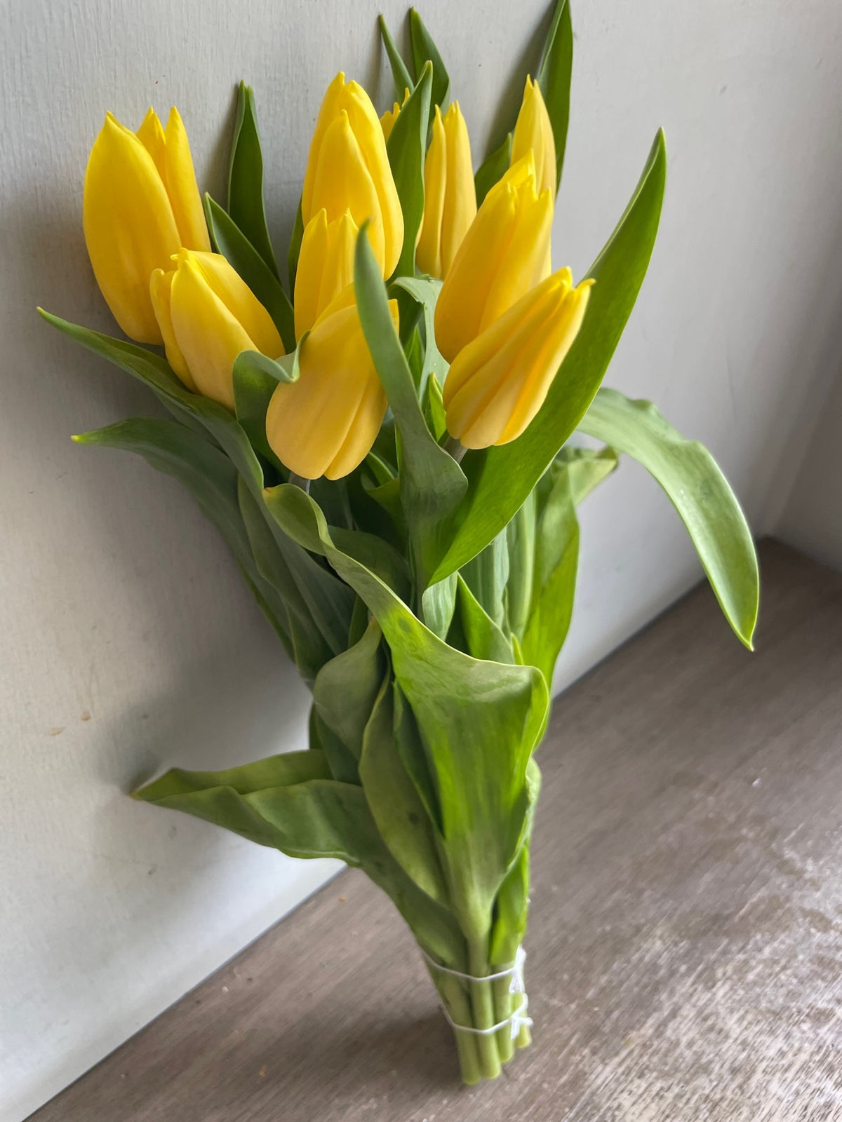 Tulips