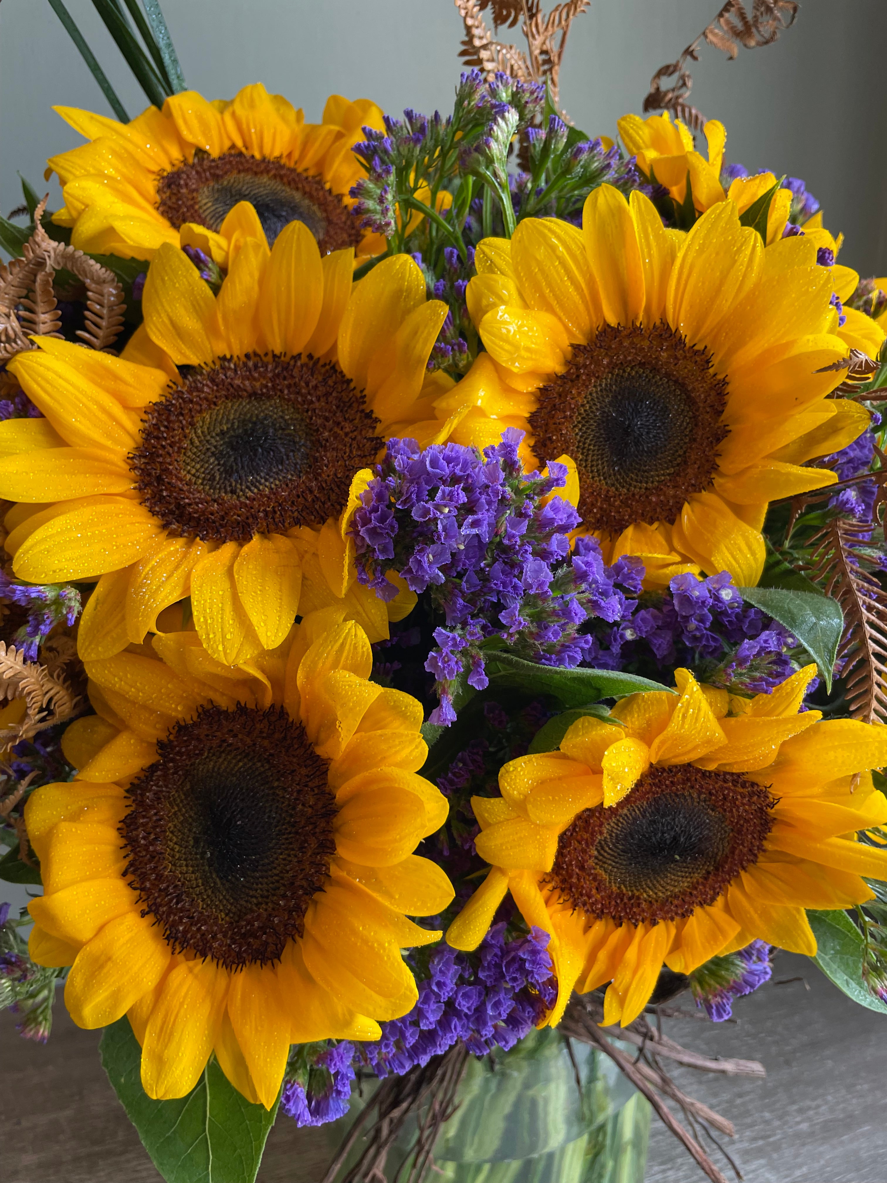 Rays of Sunshine