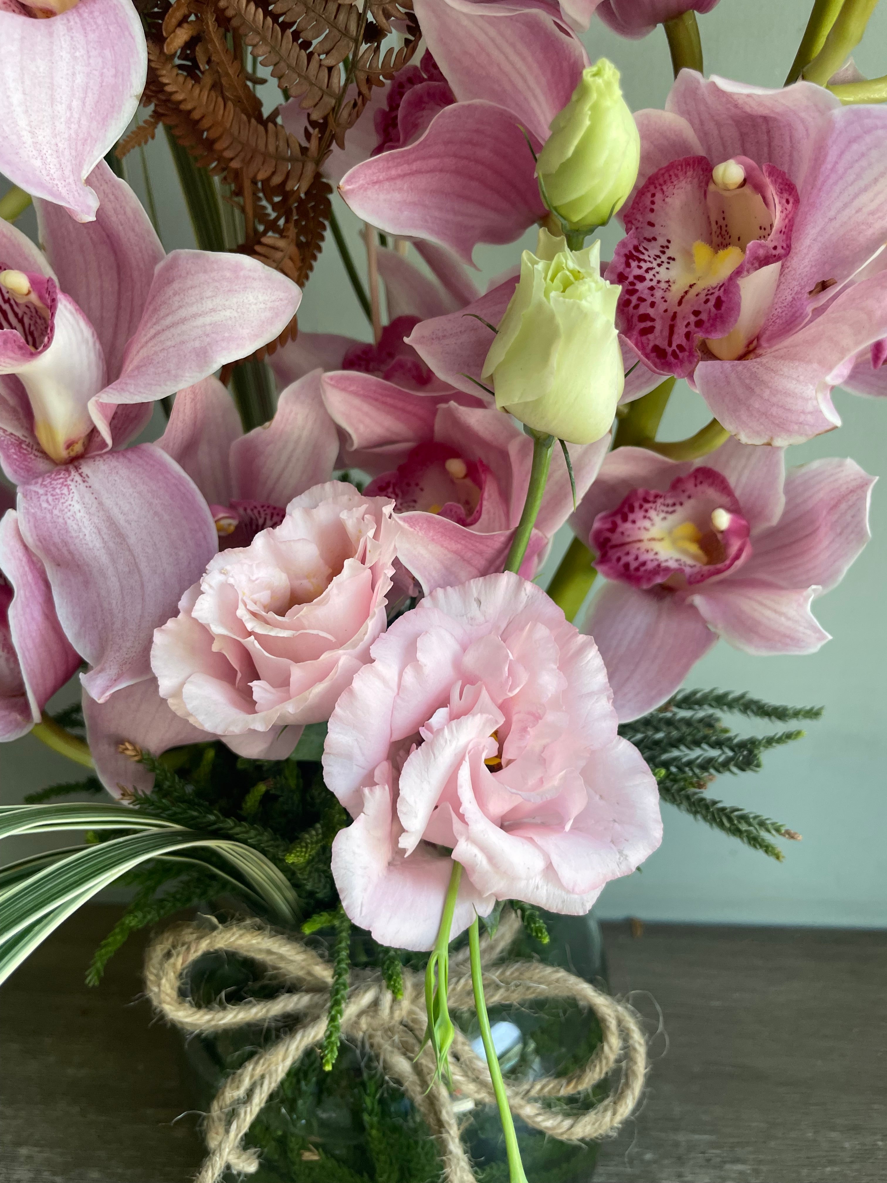 Orchid Dreams