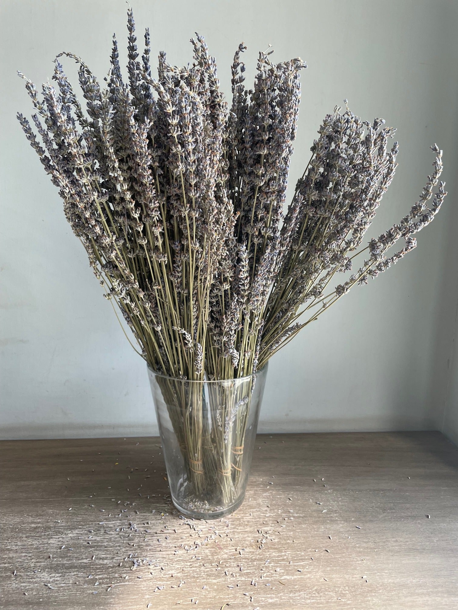 Dry Lavender
