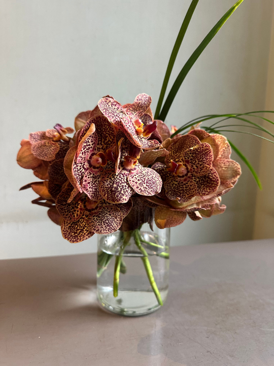 Wildflower Bronze