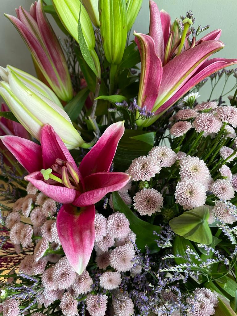 Las Felicite