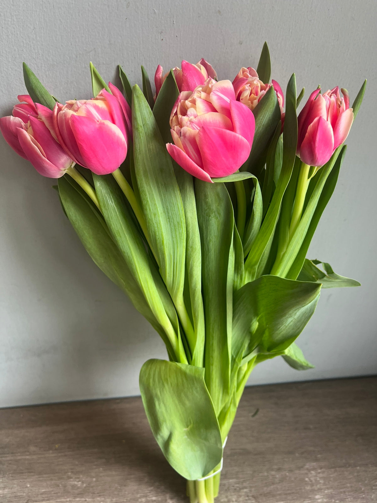 Tulips