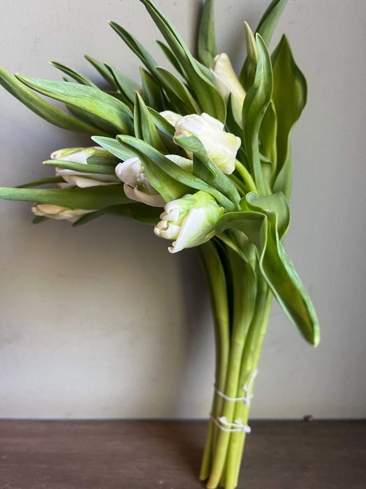 Tulips
