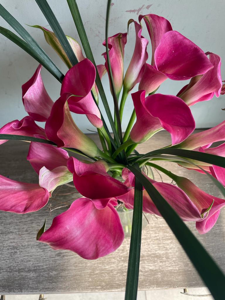 Blushing Beauties