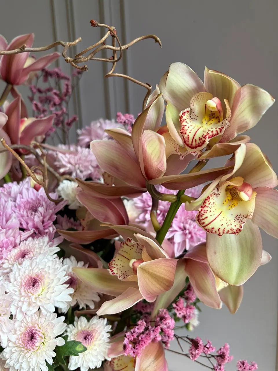 The Softest Chord 1magnolialane