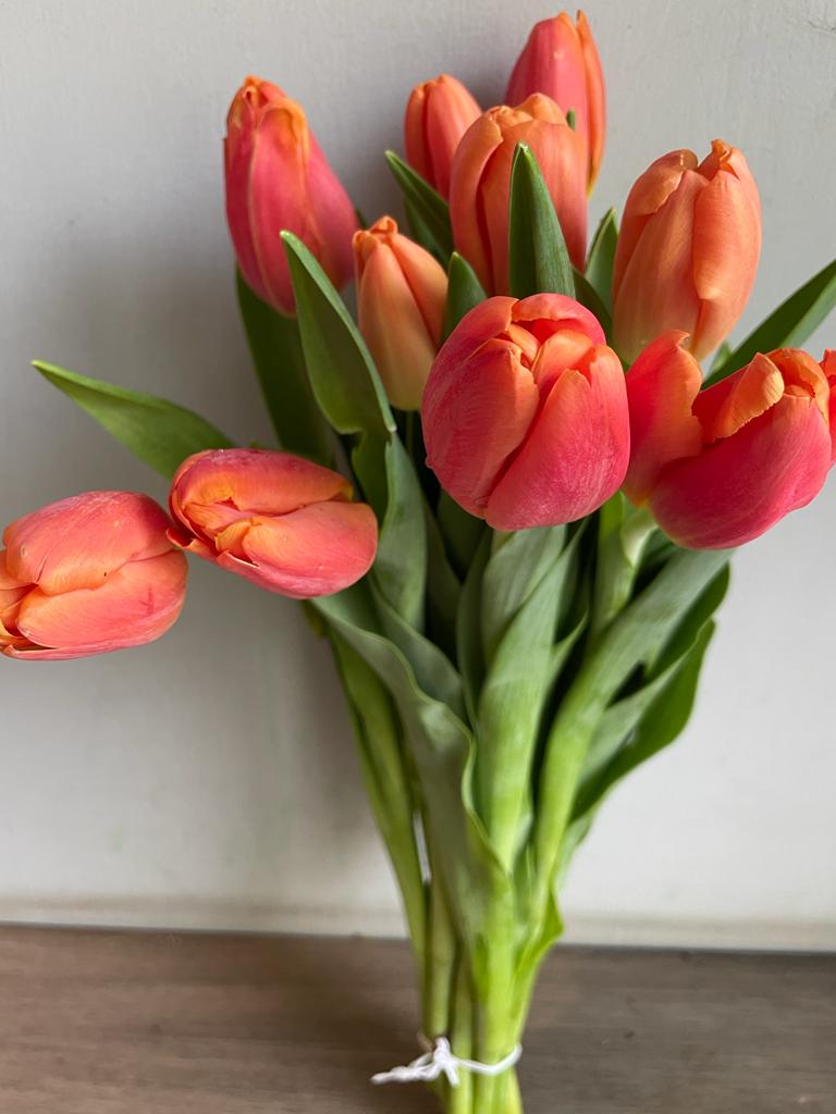 Tulips
